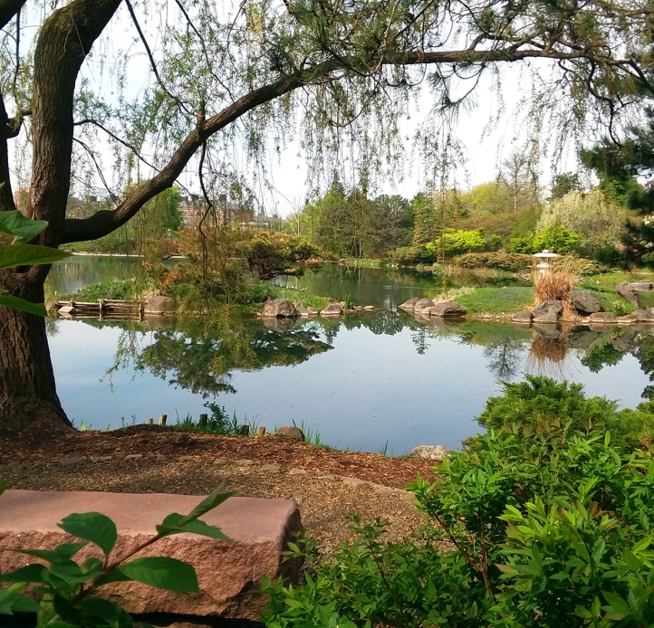 Japanese Garden